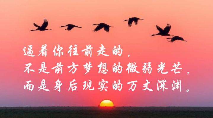 【开运登录】2月3日煤炭采选板块跌幅达9%(图4) 开运登录