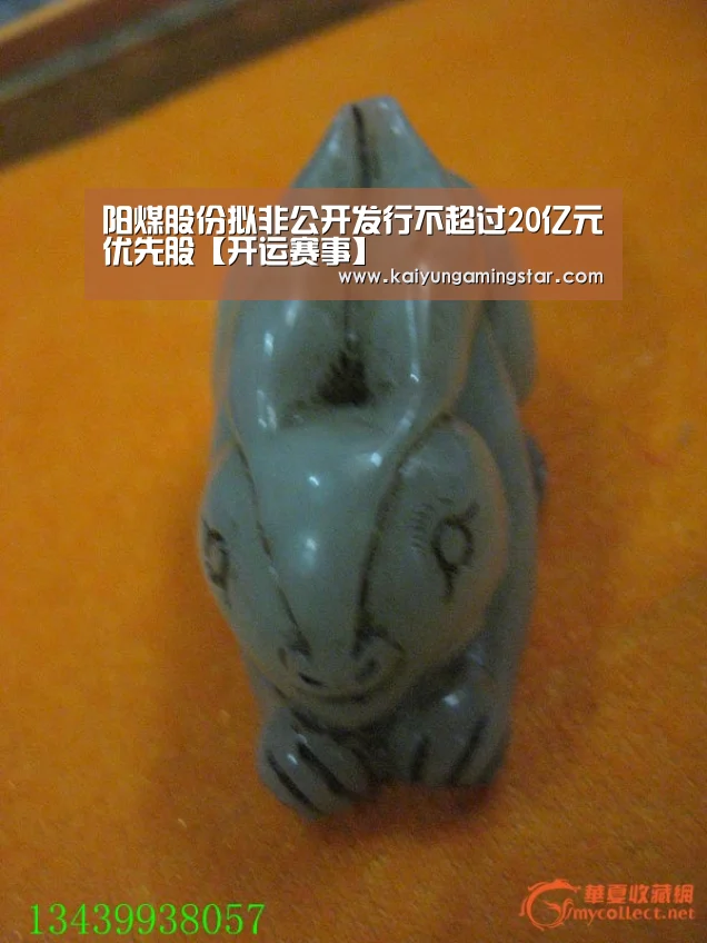 开运真人