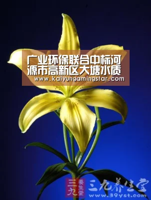 开运真人